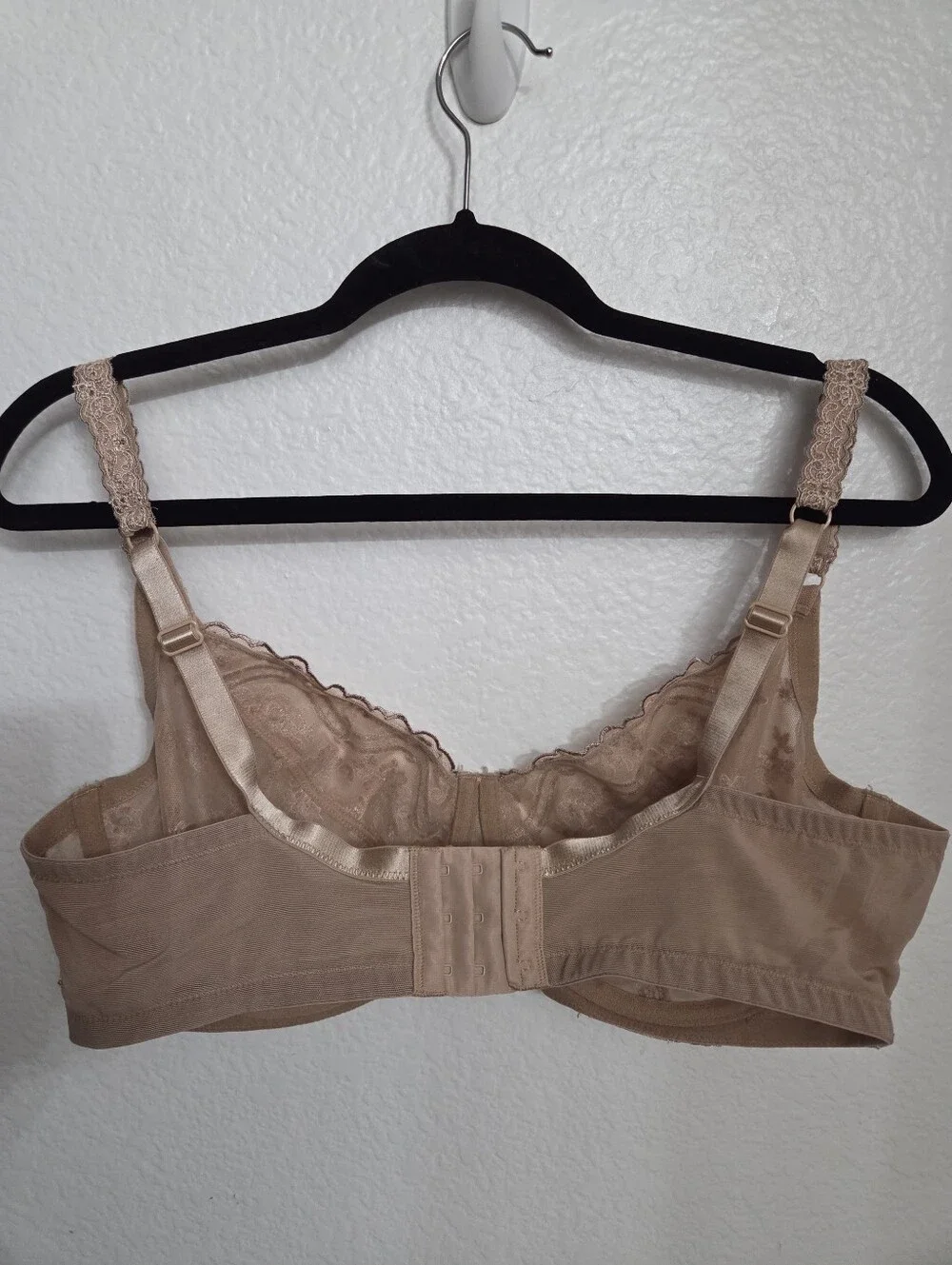 Paramour floral lace